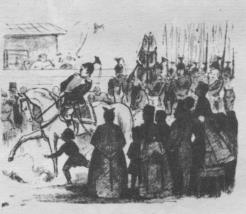 inline image, see preceding text for description